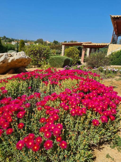 Guesthouse Petrothalassa Porto Heli Ngoại thất bức ảnh